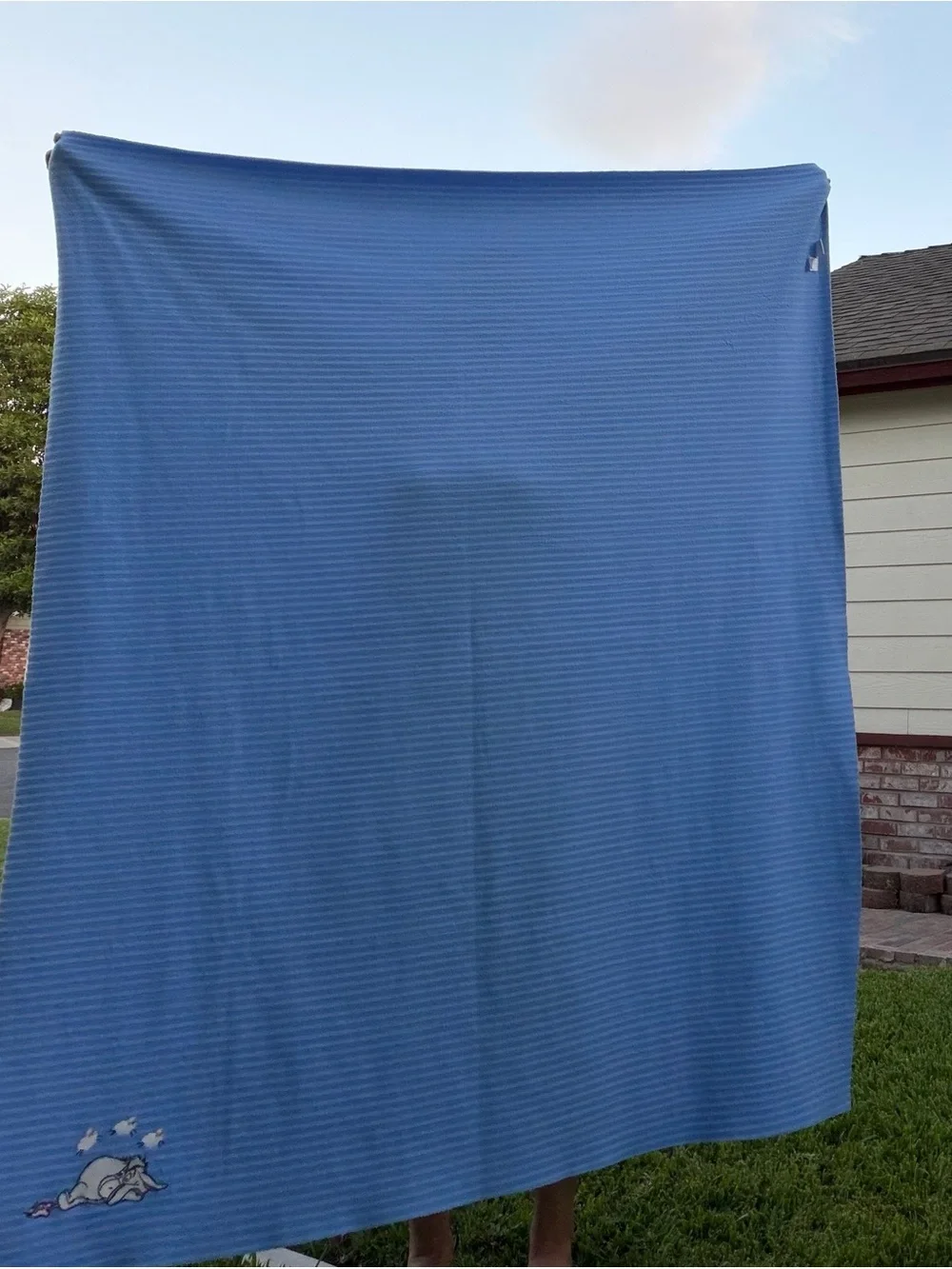 Kids Blue Eeyore Ribbed Throw Blanket